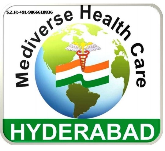Mediverse Healthcare Logo